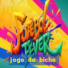 jogo do bicho tipos de apostas